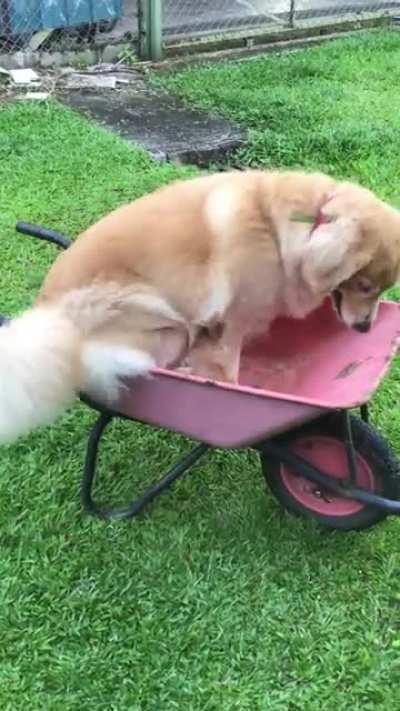 Well it ain’t gonna push itself