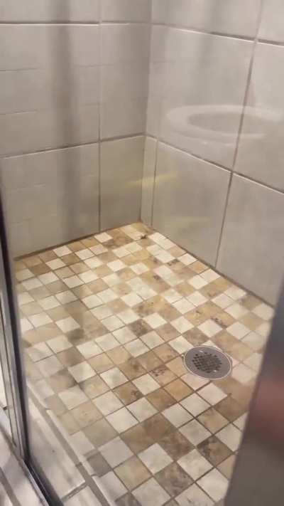 Kill it with fire 🔥 🕷️😱