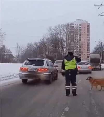 When dog needs help to cross the road
