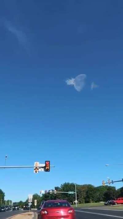 chand nazar aa gaya, usko bhi uda dete hai