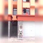 Video of the day hahaha