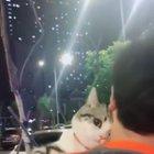 oh! I'm just a kid!!