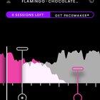 Flamingo ———> Chocolate Rain