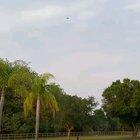 day 69 of quarantine