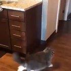 To get on the counter