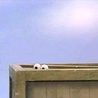 Damn Elmo, major f-up