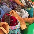 Baby kangaroos saved from the Australia fires