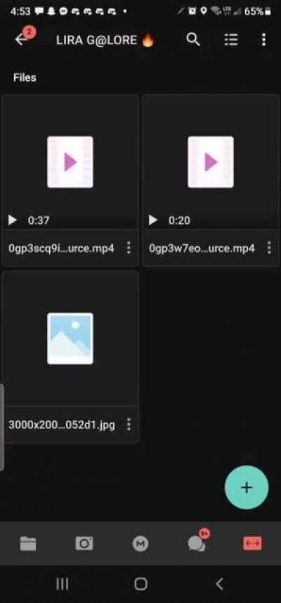 this wat the 25$ tier folder look like u get this folder plus the main folder where the daily updates go down at