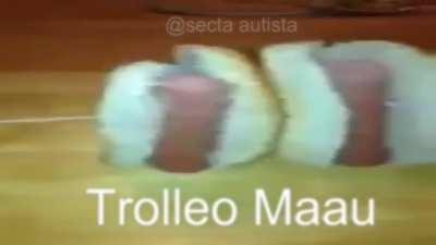 trolleo