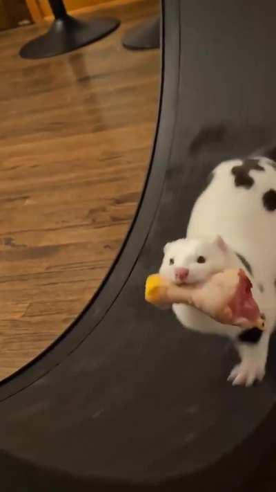 murderous and cannibalistic wunk is forever trapped in exercise wheel sitcom intro music hell for his crimes