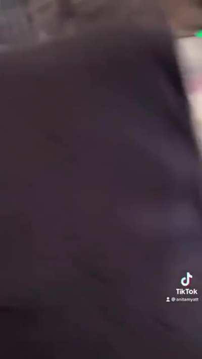 Rescue dog gets her first bed ever