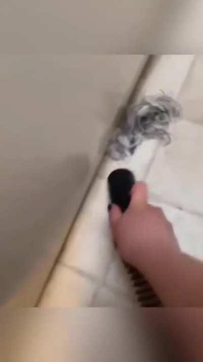 The scary vacuum cleaner