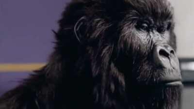 I can feel it coming...