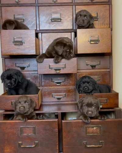 A good use of cabinets I must say