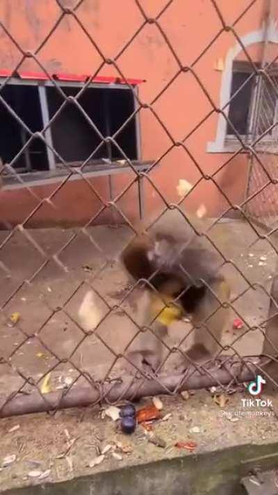 Lo bueno que estaba encerrado.