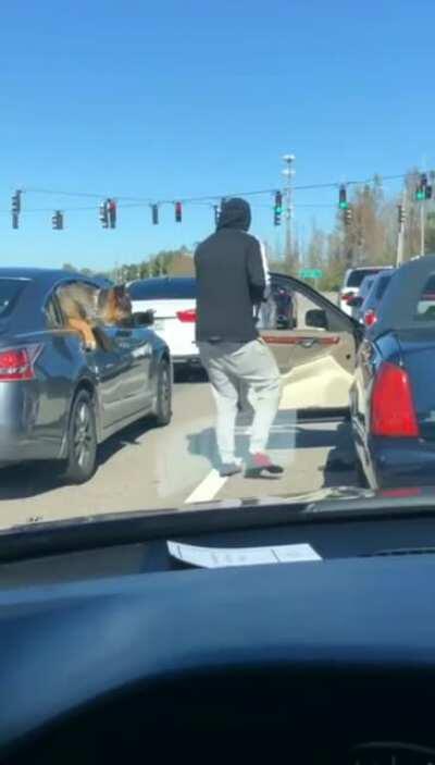 say hello to my lil fren