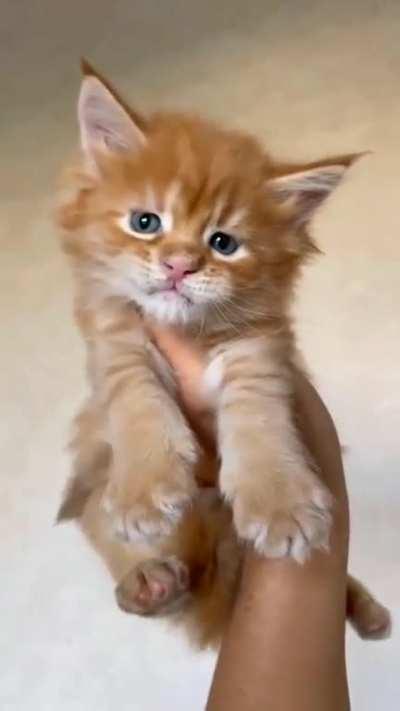 How it started...how it's going