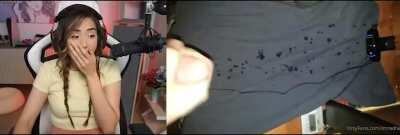 Pokimane is shocked with his load