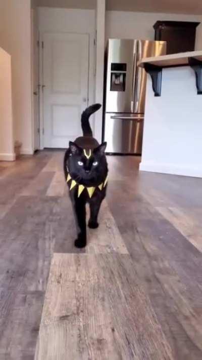 From the modding community