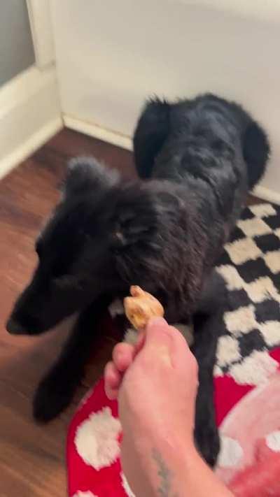 He’s got some pretty big opinions on ginger root