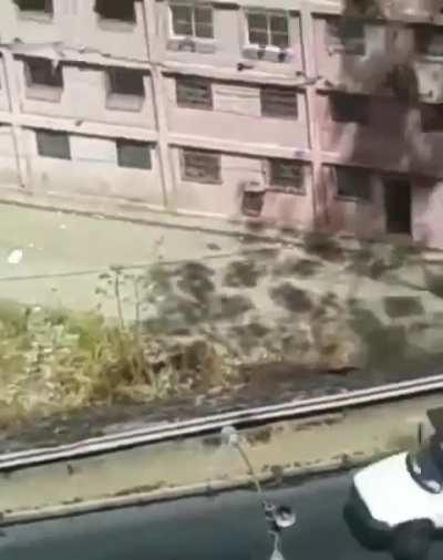 Ningún colectivo tiene la autoridad de mandar toque de queda ' el tirano esta usando fuerza por encima de la constitución - Difundan y no se dejen de esas escorias.