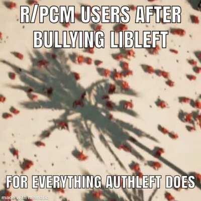 Proceeds to say “tankies are cool”