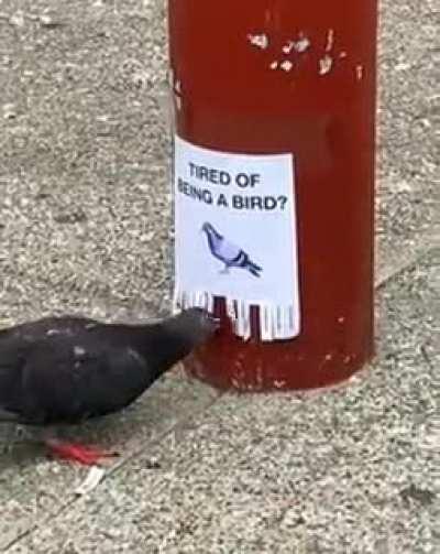 Government recruiting new soldiers