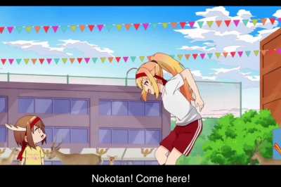 Wholesome Nokotan moment