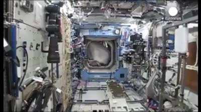 Astronaut Mark Kelly once smuggled a full gorilla suit on board the International Space Station. He didn't tell anyone about it. One day, without anyone knowing, he put it on.