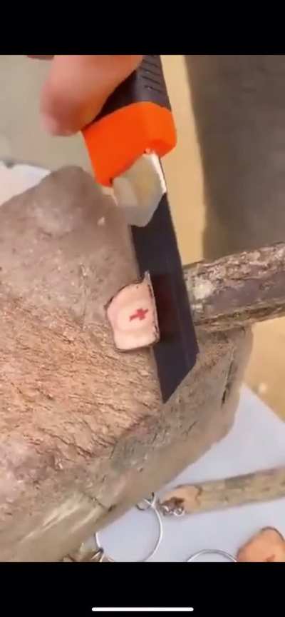 When u universe is giving you signs…