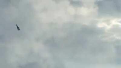 Think I got sent the wrong trailer????