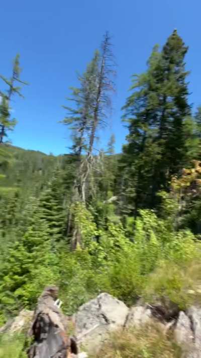 Blowjobs are more important than finishing the hike 🥵(:06)