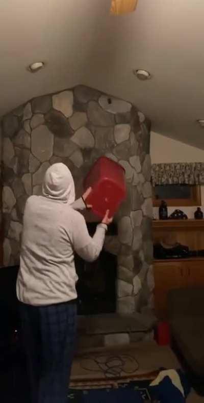 Adventures in bat removal