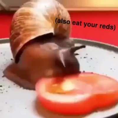 snail snack saturday