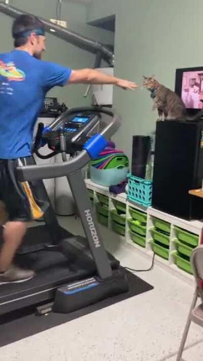 My cat giving me strength for the last mile.