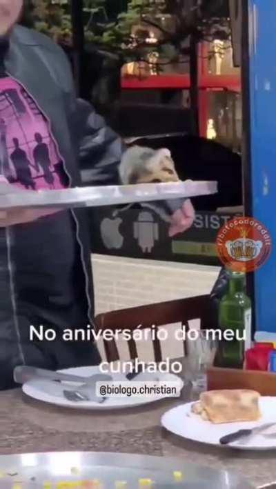 Just a little guy. Let him dine in peace.