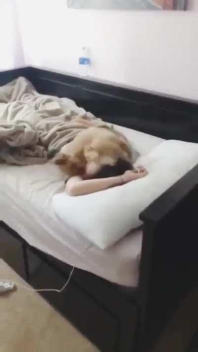 Best morning alarm system ever 🐶⏰😍