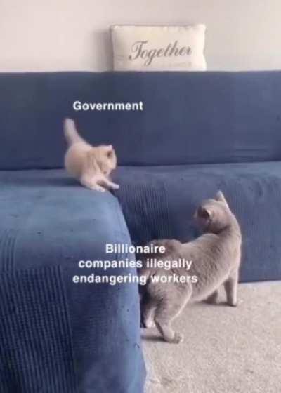 Surely they will not repeat this behavior after such serious repercussions