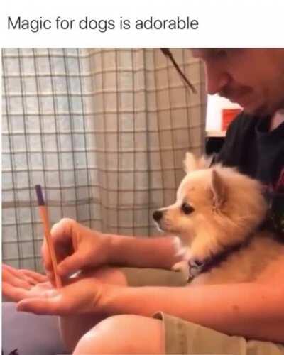 He wasn’t too impressed