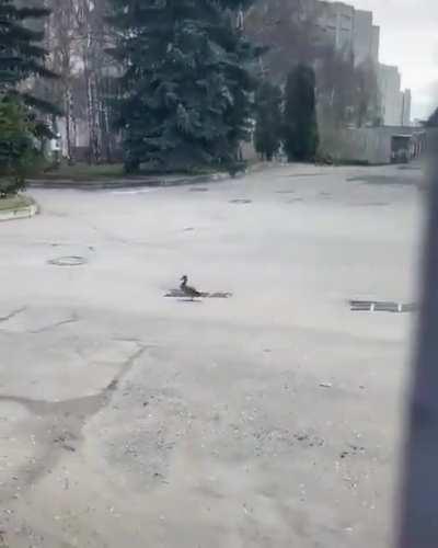 Well, that really sucks.