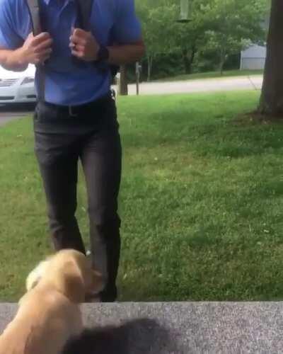 Pure Excitement Each Time Daddy Comes Back Home