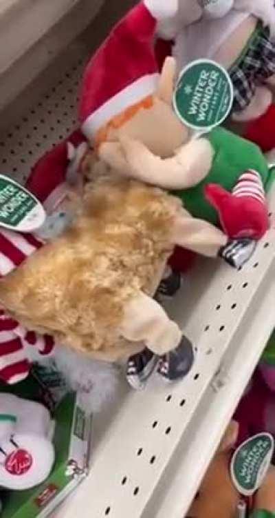 What is the purpose of this toy?