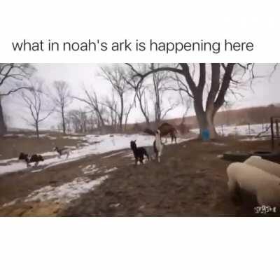 Just one after the other