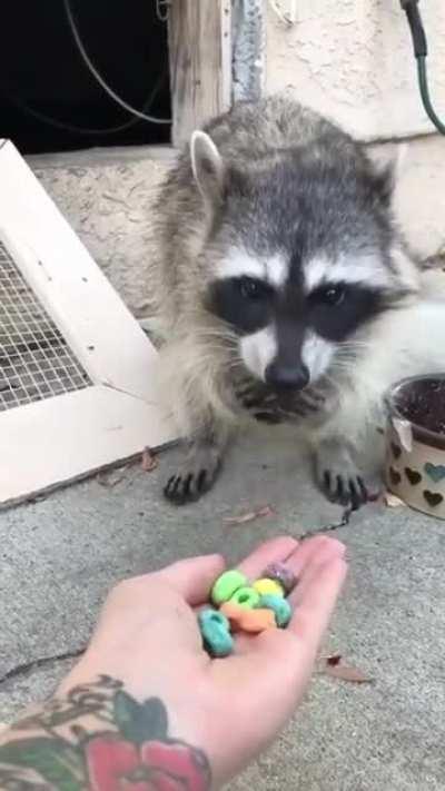 Soothing munching on fake food