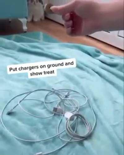 Who Framed Roger Rabbit