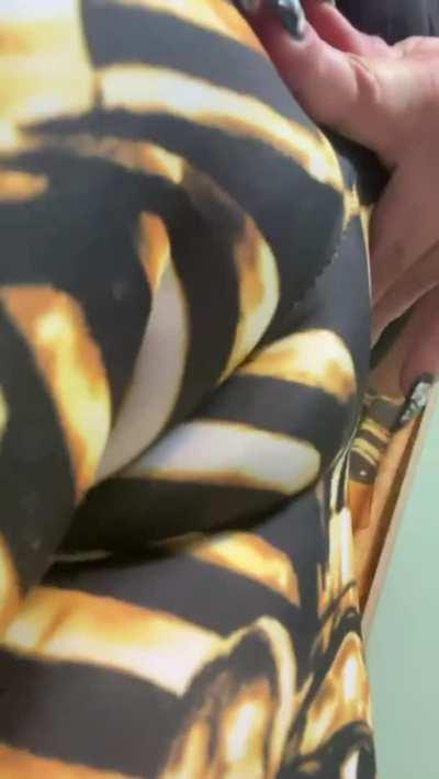 Phatty sitting pretty