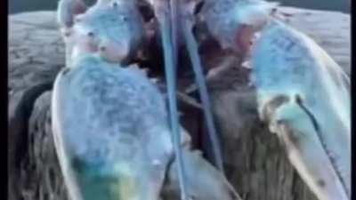 I made it when I was bored