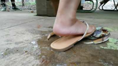 Black Girl vs stable Crab but in the End, Power of Girls Feet wins