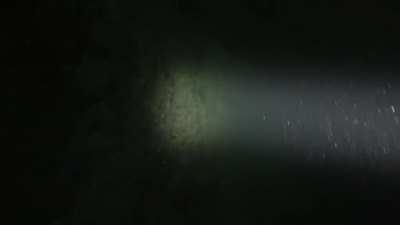 Do not stray from the wall, the void is waiting