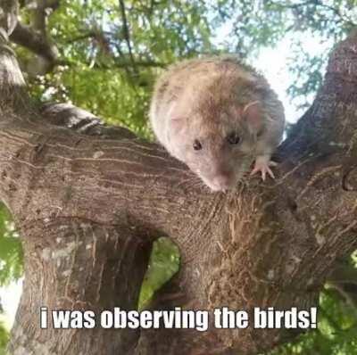 Made this for my friends a while ago